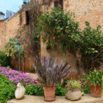 FINCA CAN ROTGER by Holiday-Exclusive - Aussenansicht