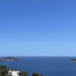 IMG_4768